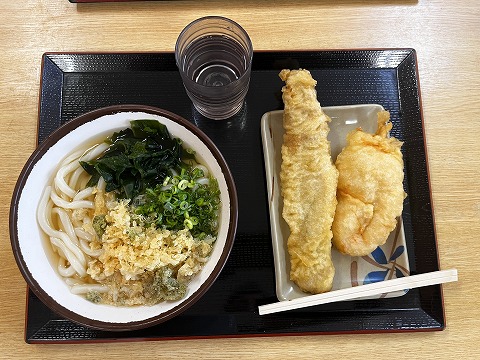 さか枝うどん