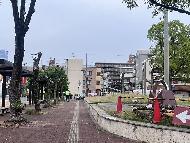 山電飾磨駅北の木の伐採